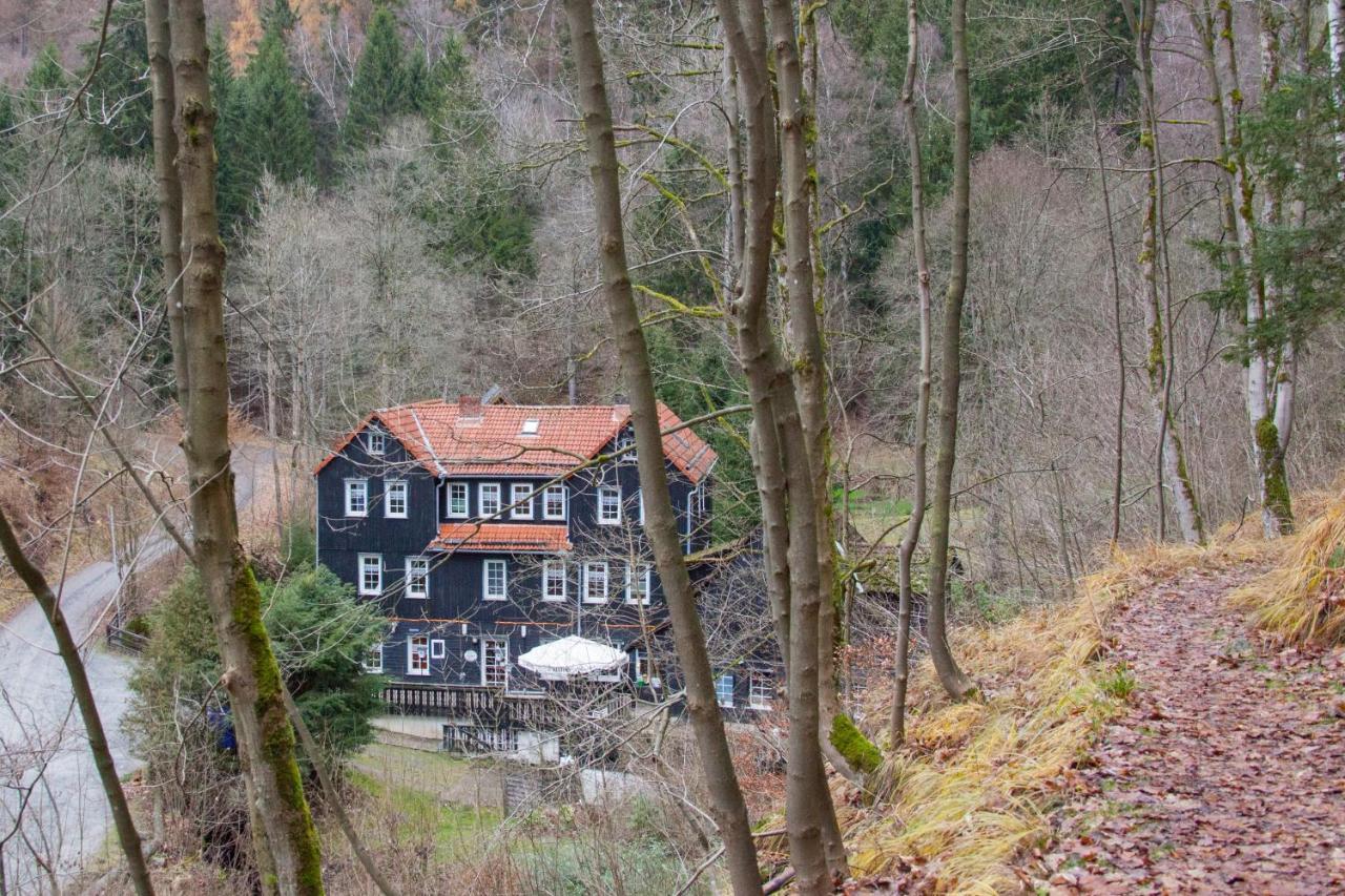 Waldhaus Wolfsbachmühle Hohegeiß